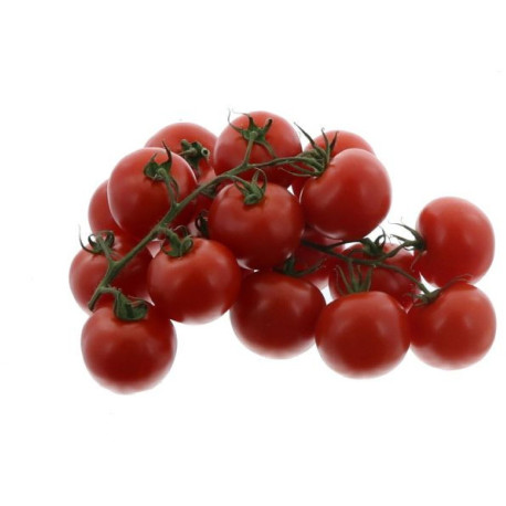 TOMATE COCKTAIL GRAPPE 10X500G